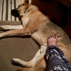 Meet your Posher, Susan